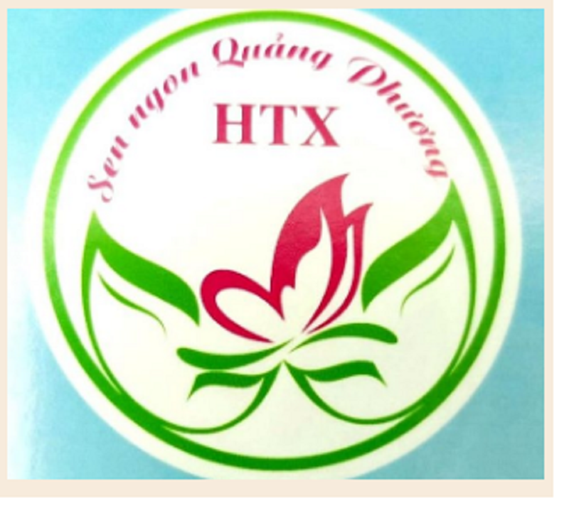 HTX sản xuất và dịch vụ Sen ngon Quảng Phương
